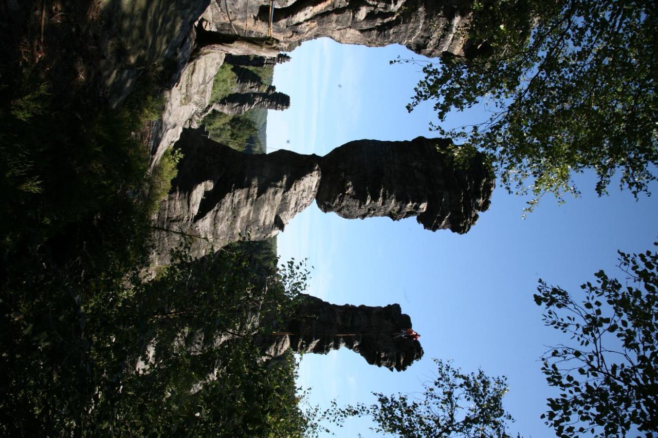 Landpension Bielatal - Raum Екстериор снимка