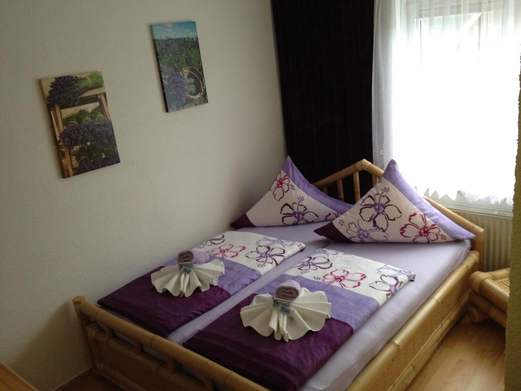 Landpension Bielatal - Raum Екстериор снимка