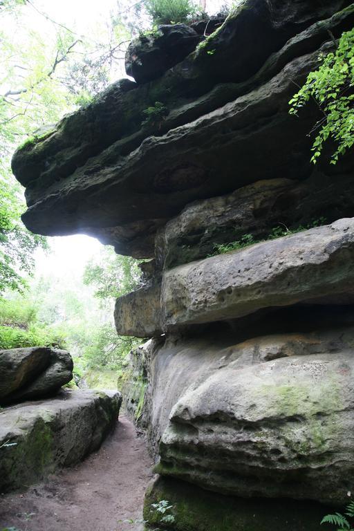 Landpension Bielatal - Raum Екстериор снимка